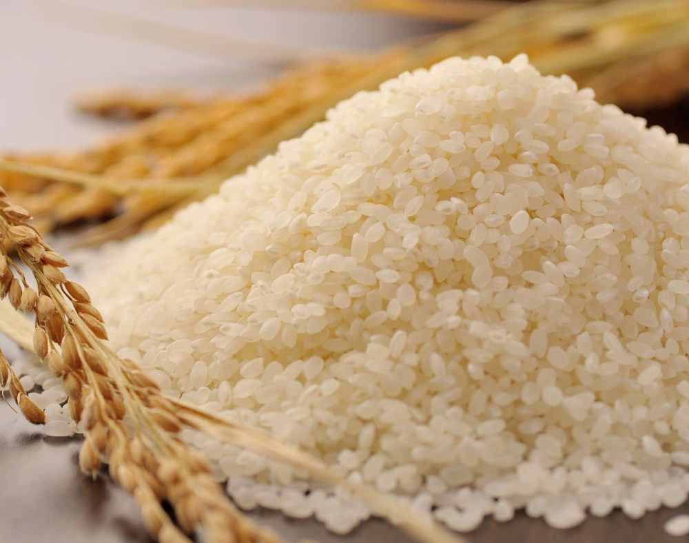 お米に虫、食べれる？退治法は？予防ににんにくが効くってほんと！？